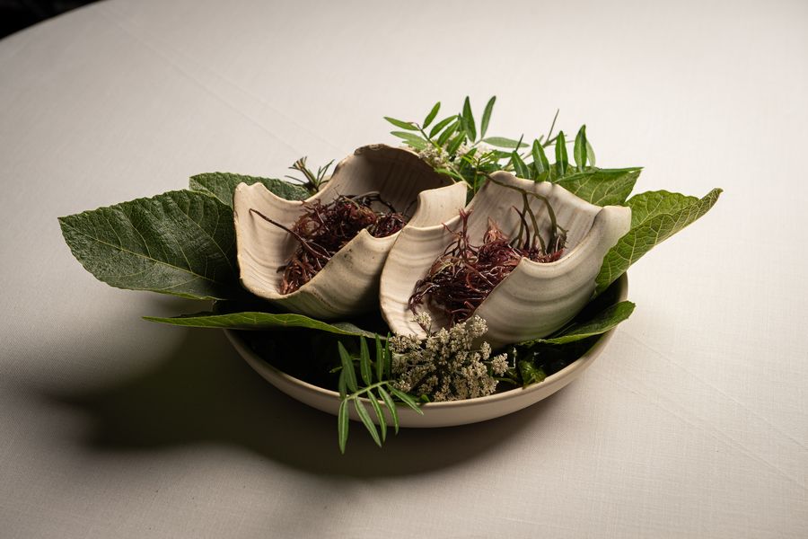 Halófilas, algas y moluscos entre hojas verdes: el plato de salinidad